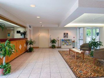 Super 8 By Wyndham Orlando Near Florida Mall Williamsburg Bagian luar foto